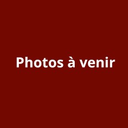 Carré foualrd Hermès Sans...